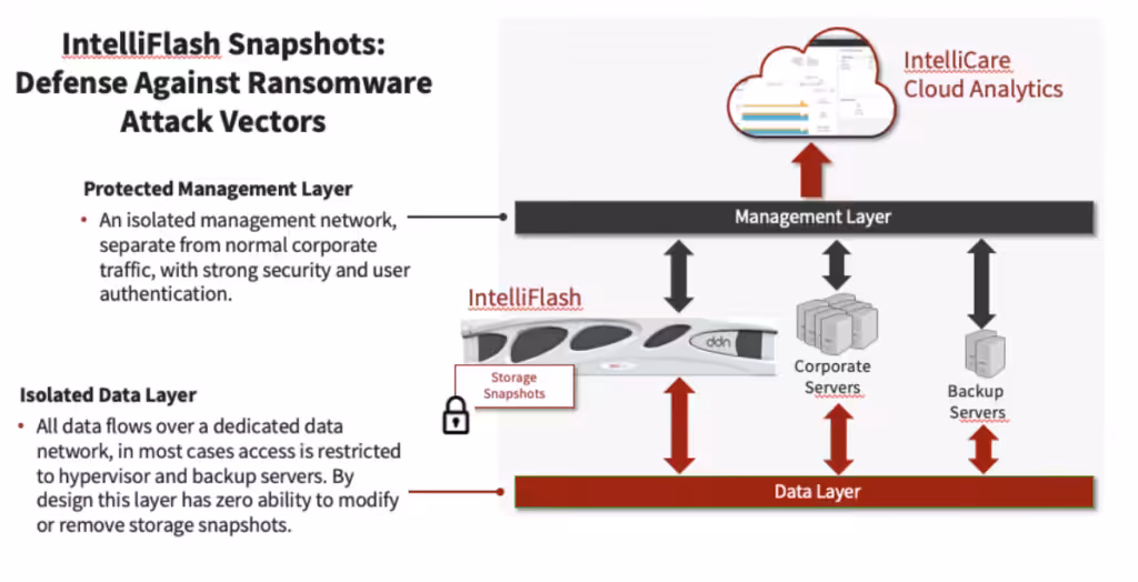 IntelliFlash Snapshots: Defense Against Ransomware Attack Vectors