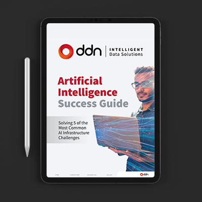 DDN AI Success Guide 2022